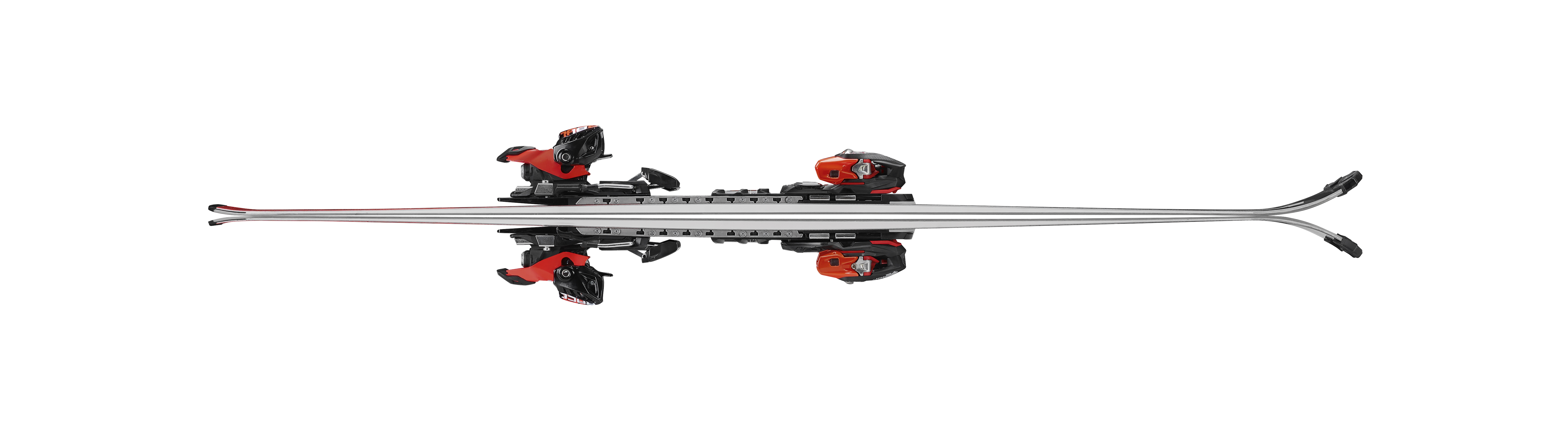 Nordica Dobermann SL Race Plate Promozione Limitata