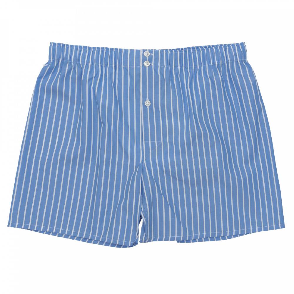 Roberto Ricetti BOXER DB1 SUPPORT - BASIC - CONTINUATIVO - RIGA FONDO AZZURRO Shopping Online