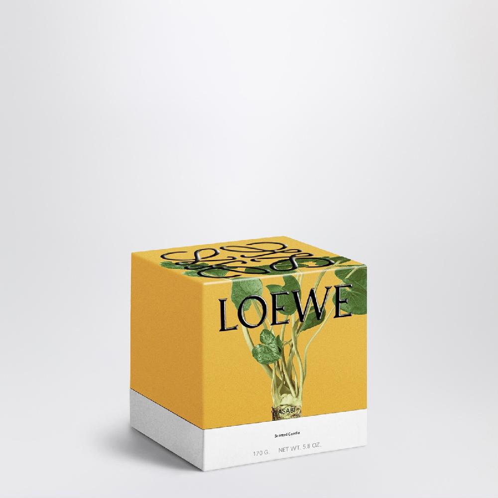Loewe Candela Wasabi piccola gialla Nuova