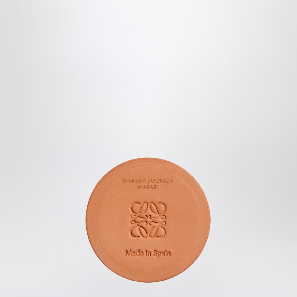 Loewe Candela Wasabi piccola gialla Nuova