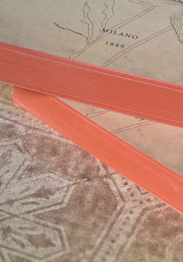 Rose & Lini SLOW DESIGN “LIBRI MUTI” IL PIACERE Sostegno trimestrale