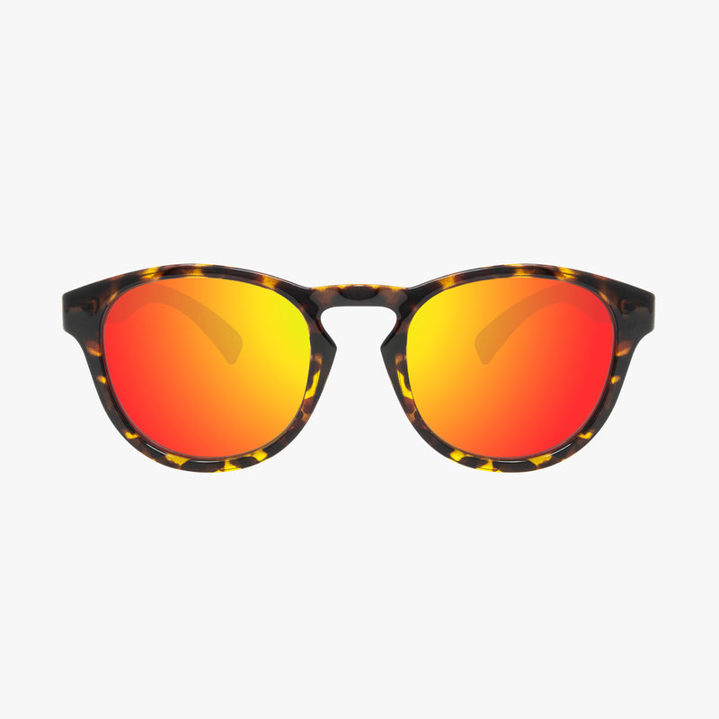 Scicon Occhiali da sole Protom Tartarugati/Lenti Rosse Specchiate Cyber Monday