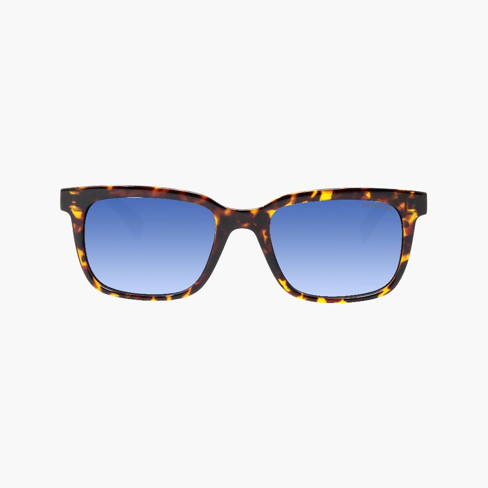 Scicon Occhiali da sole Roygo Tartarugati/Lenti Sfumate Blu Vendita calda