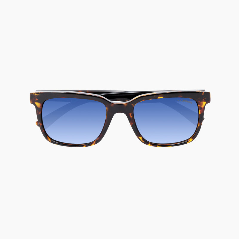 Scicon Occhiali da sole Roygo Tartarugati/Lenti Sfumate Blu Vendita calda