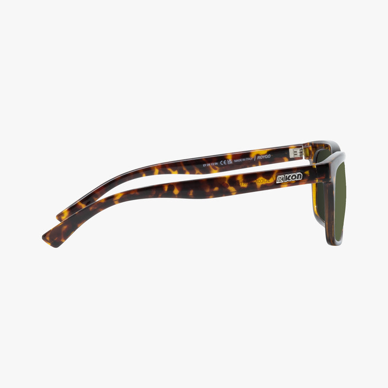 Scicon Occhiali da sole Roygo Tartarugati/Lenti Verdi Online Outlet